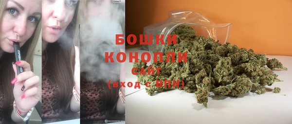 прущие грибы Алексеевка