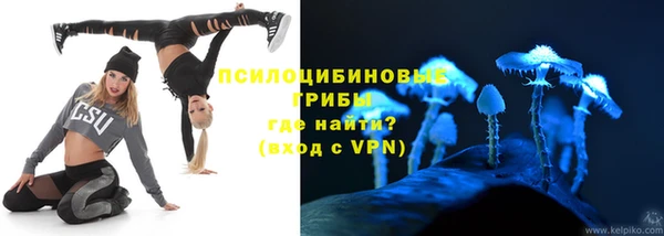 прущие грибы Абдулино