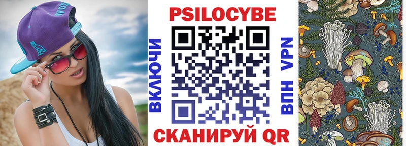 Псилоцибиновые грибы Psilocybine cubensis omg Череповец