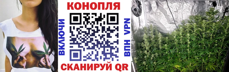 Бошки марихуана OG Kush  хочу   Череповец 